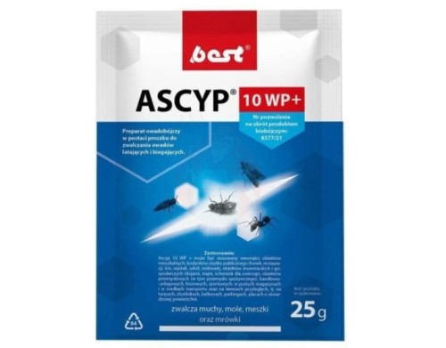 ascyp.jpg