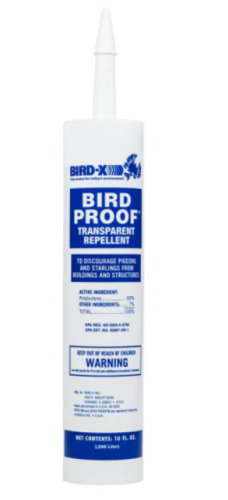 bird.png