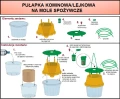 lejkowa-instrukcja.webp