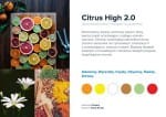 citrus high.jpg