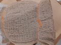 20240625_090034.jpg
