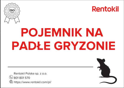 Zrzut ekranu 2025-02-12 125400.png