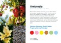 Cartridge Prolitec AIRQ270 Ambrosia 500ml