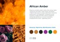 Cartridge Prolitec AIRQ550/570/580 African Amber 500ml