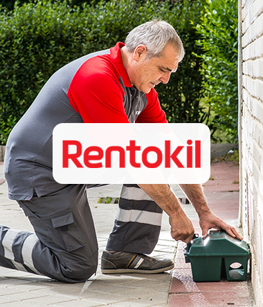 Rentokil