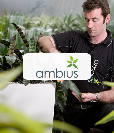 Ambius